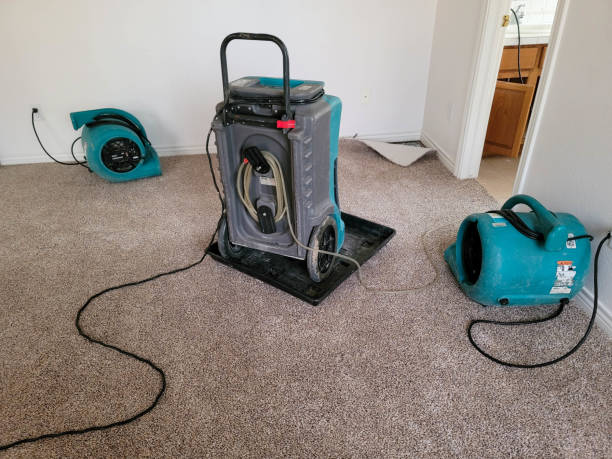 Best Sewage cleanup and water damage restoration  in Muleshoe, TX