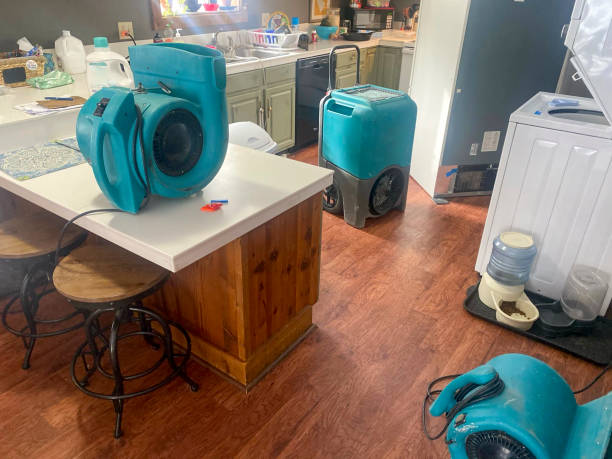 Best 24/7 water damage repair  in Muleshoe, TX