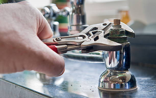 Best Professional water damage repair  in Muleshoe, TX