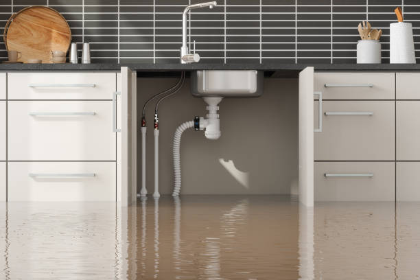 Best Water damage cleanup near me  in Muleshoe, TX