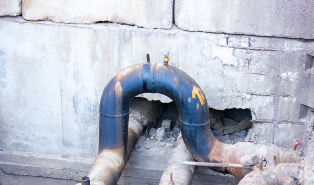 Best Flood restoration services  in Muleshoe, TX